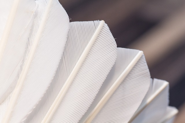 badmintonový míček z peří