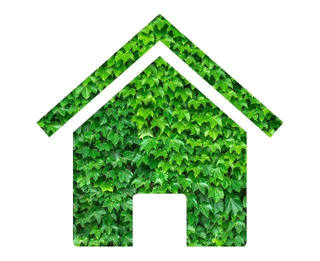 zelený dům