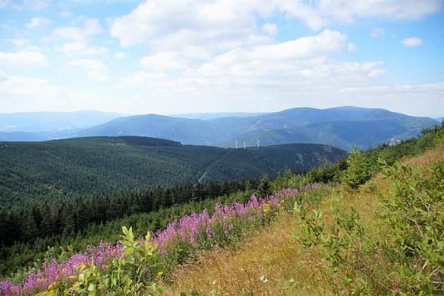 horská louka